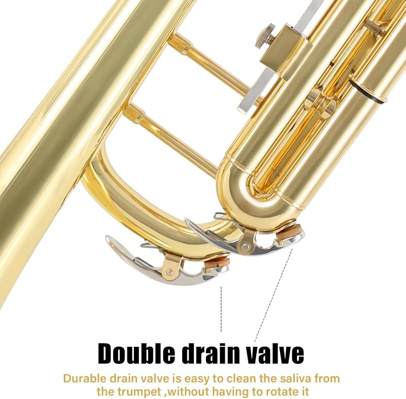 ROWell Bb Trumpet Standard Trumpet Set,Double Support Beam Design Trunpet, Trumpet Instrument with Hard Case, Cleaning Kit, Stand, Mouthpiece, Gloves, Valve Oil for Beginner,Student and Adult.(Gold) - Image 4